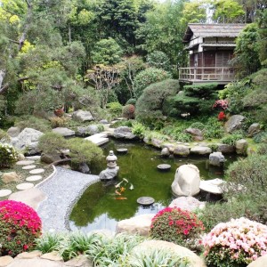 14New-Hannah-Carter-Japanese-Garden-March-2012