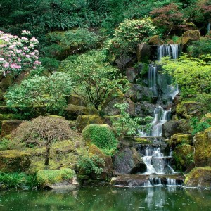 Portland.Japanese.Garden.original.829
