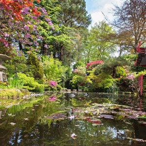 compton-acres-poole-dorset-the-japanese-garden-02-1024x576