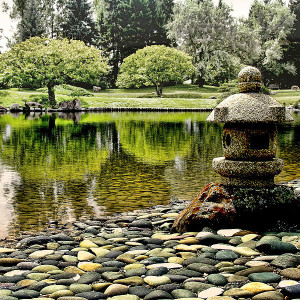 japanese-garden-andre-salvador